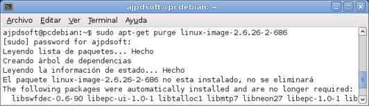 AjpdSoft Desinstalar versiones antiguas del kernel ncleo de GNU Linux Debian